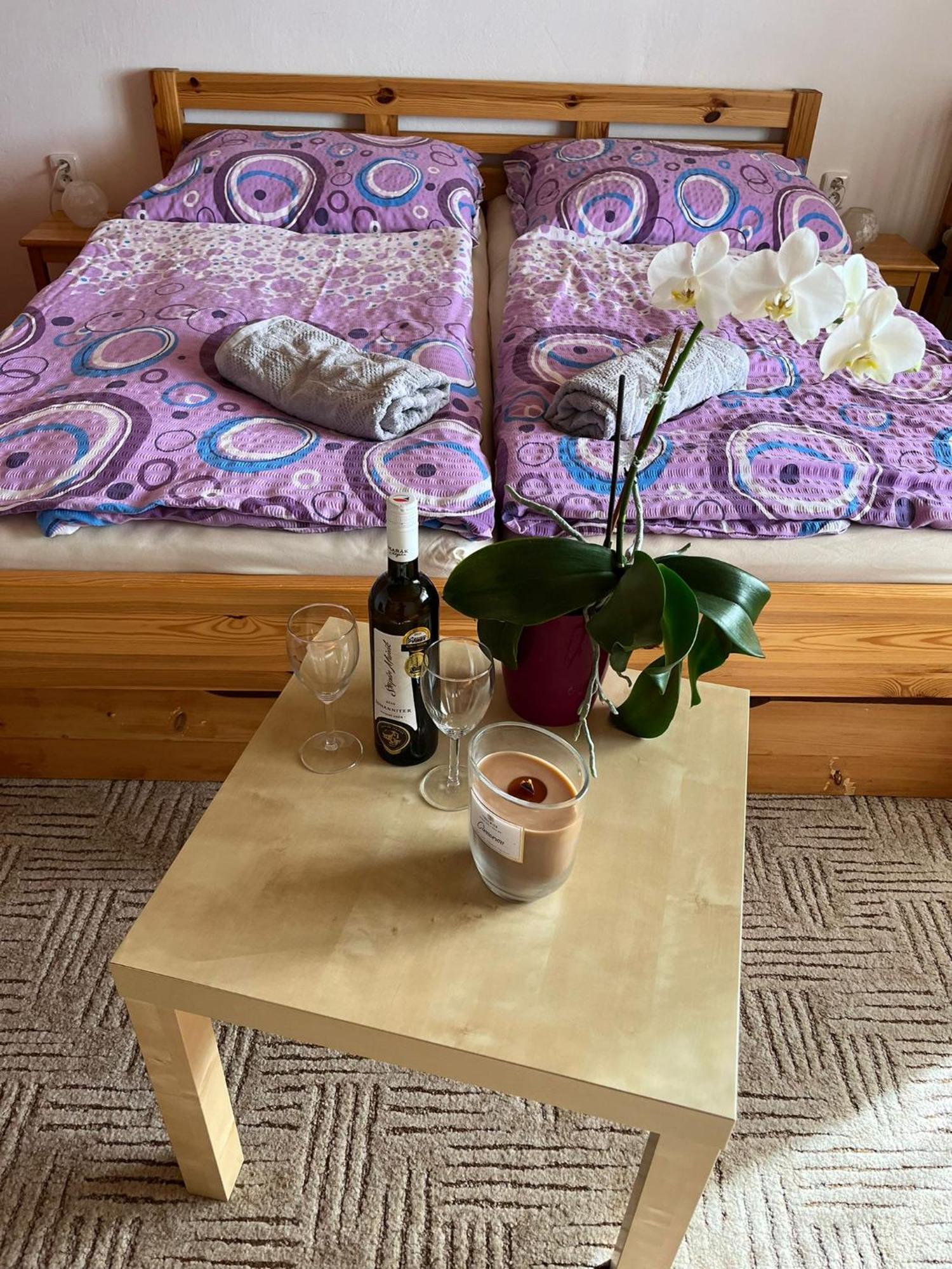 Apartman Za Kostelem Zvole  Bilik gambar